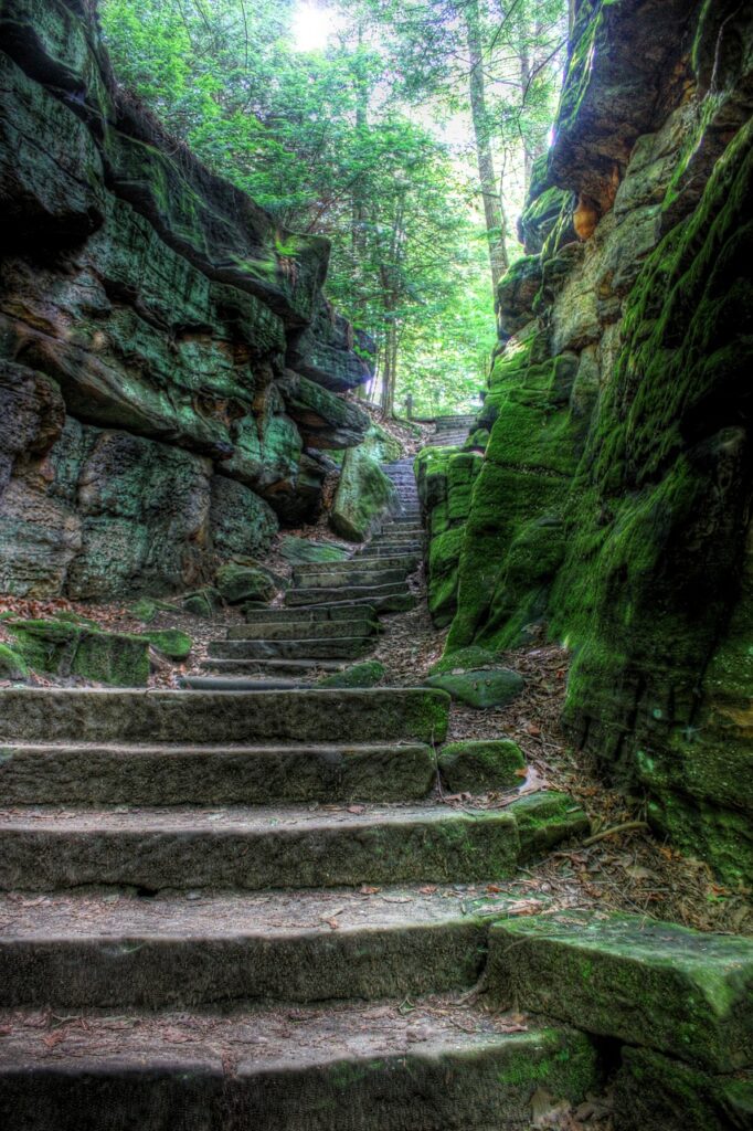 stairs, nature, stairway