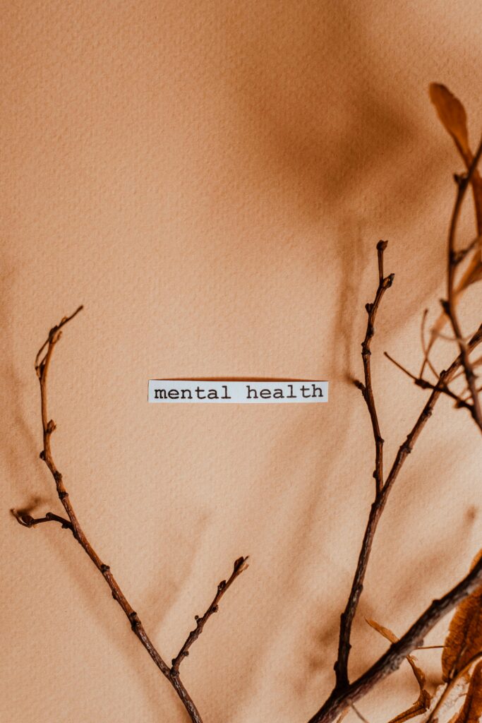 Aesthetic minimalist image featuring branches and 'mental health' text.