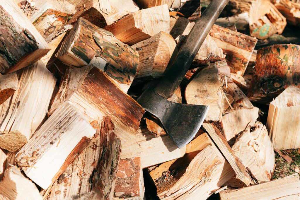 Old rustic axe with wooden handle and sharp cutting point placed on firewoods in forest on sunny summer day