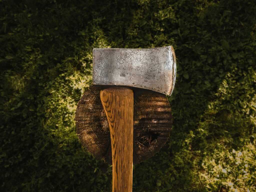 pexels-photo-544296-544296 Close-up of a wooden-handled axe in a tree stump, surrounded by grass.