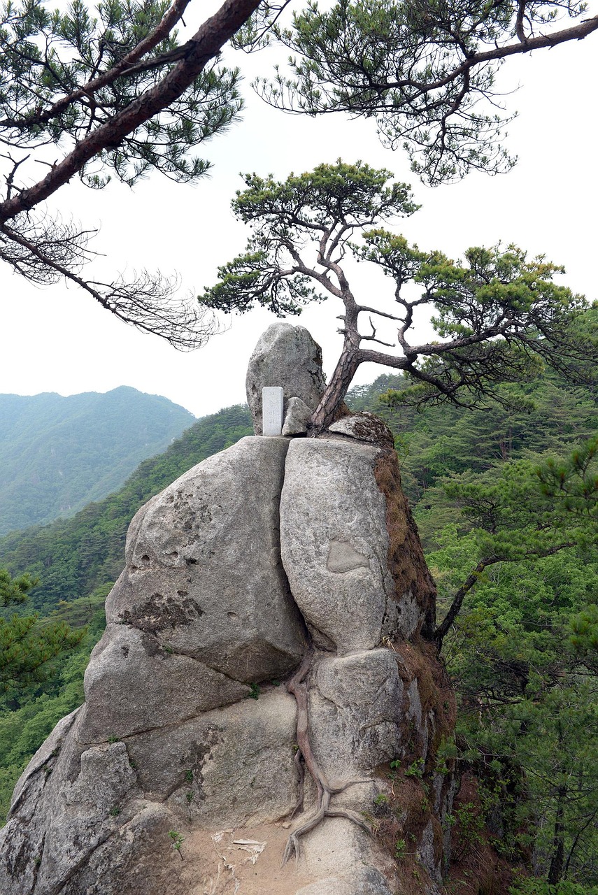 obongsan, rock, valley, root, stone, force of nature