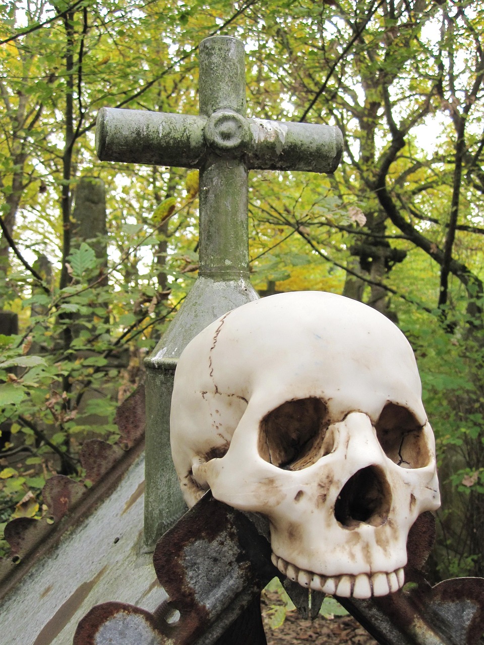 skull, skull and crossbones, scary, bone, horror, crypt, cross, boneman, fear, head, skull bones, terrifying, skeleton, human anatomy, religion, faith, crucifix, gruesome, halloween, homo sapiens, human, to die, teeth, dead, frighten, anatomy