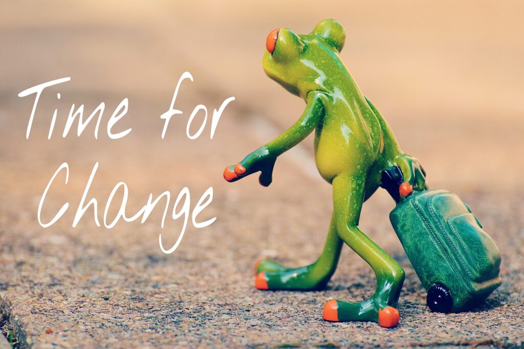 time for a change, courage, new beginning, frog, farewell, travel, suitcase, travel bag, nature, vacations, on the way, animal, fun, figure, cute
